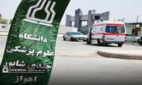 پایان عملیات سلامت اربعین در مرز چذابه/ بهره‌مندی ۲۴۸ هزار زائر از خدمات بهداشتی، درمانی و فوریت‌های پزشکی
